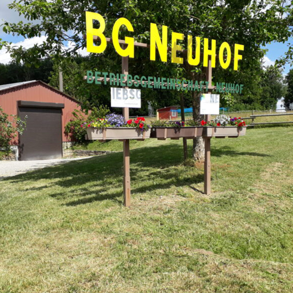 2016 BG Neuhof