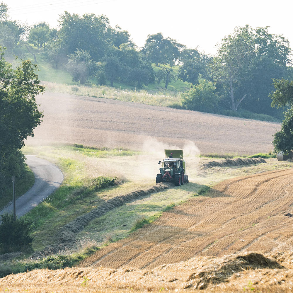 Landwirtschaft & Forst